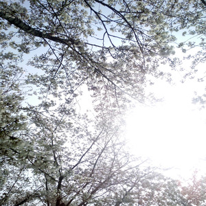 欧美操逼添刁视频
